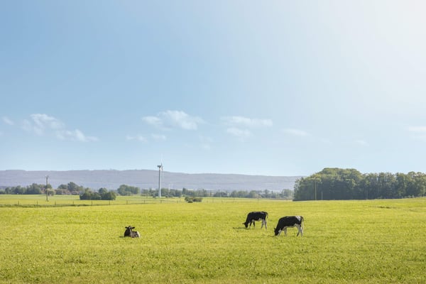 Skånemejerier slipper bekymra sig för tekniken