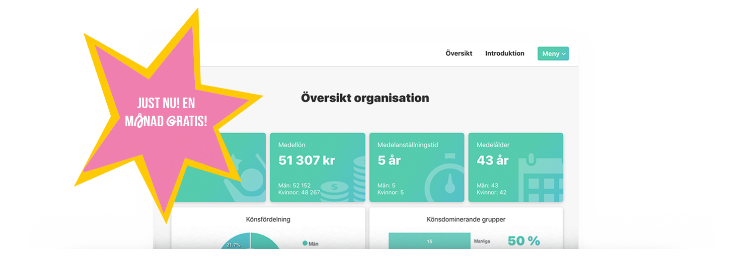 Lonelys_lonekartlaggning_erbjudande